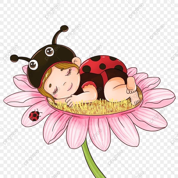 The Little Lady Bug - Picture 1 of 1
